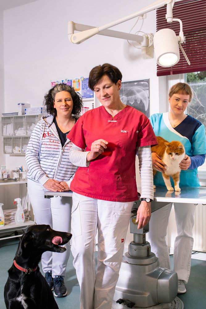 Tierarztpraxis Alfeld Frau Faass Praxisbild