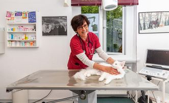 Tierarztpraxis Alfeld Frau Faass
