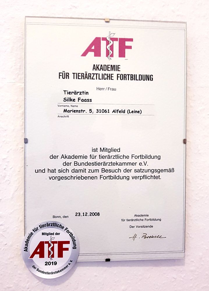 Tierarztpraxis Alfeld Frau Faass Praxisbild