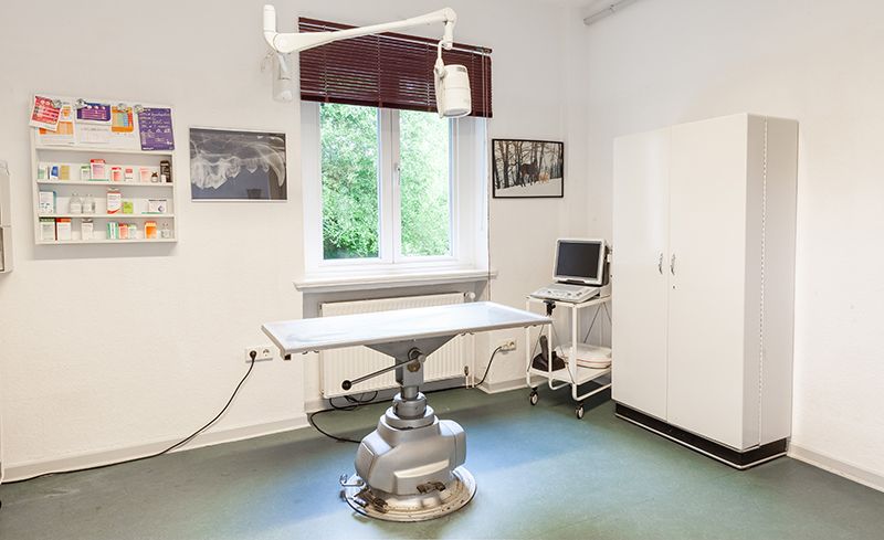 Tierarztpraxis Alfeld Frau Faass Praxisbild