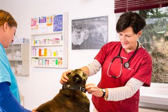 Tierarztpraxis Alfeld Frau Faass Praxisbild